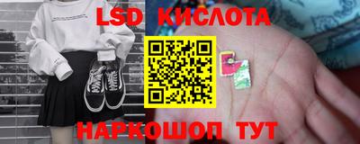 индика Пенза