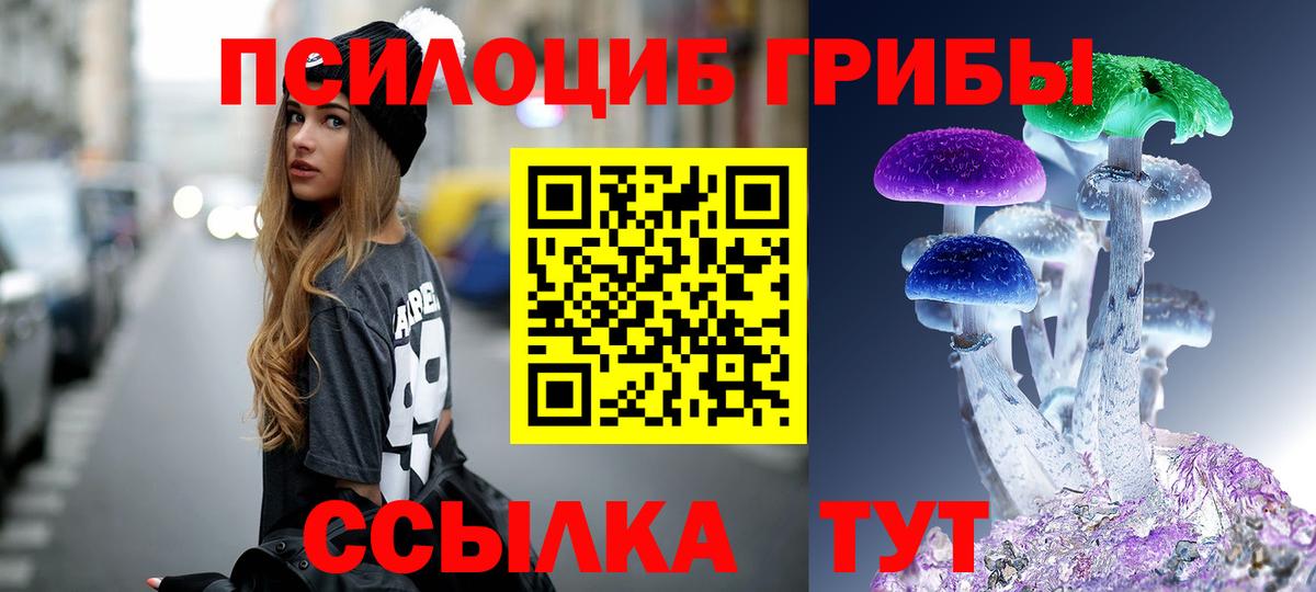 Псилоцибиновые грибы Psilocybe Протвино