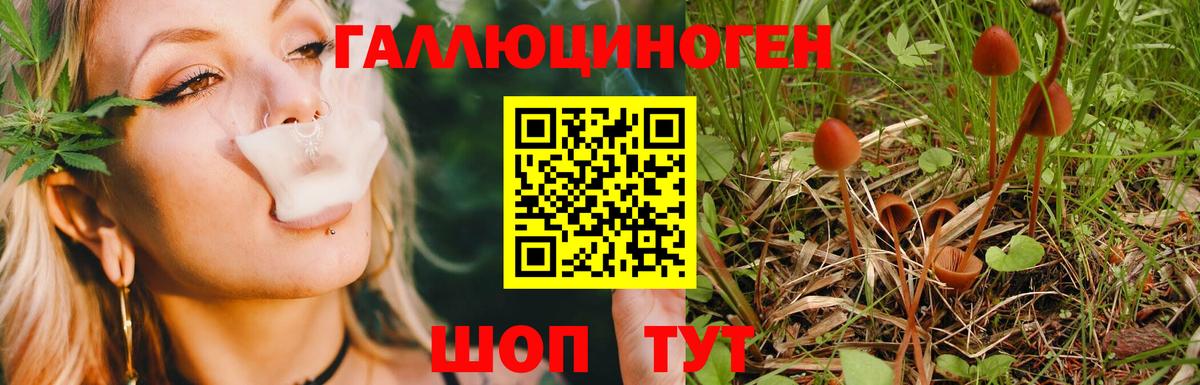 Галлюциногенные грибы MAGIC MUSHROOMS  Вход с VPN  где найти   Протвино 